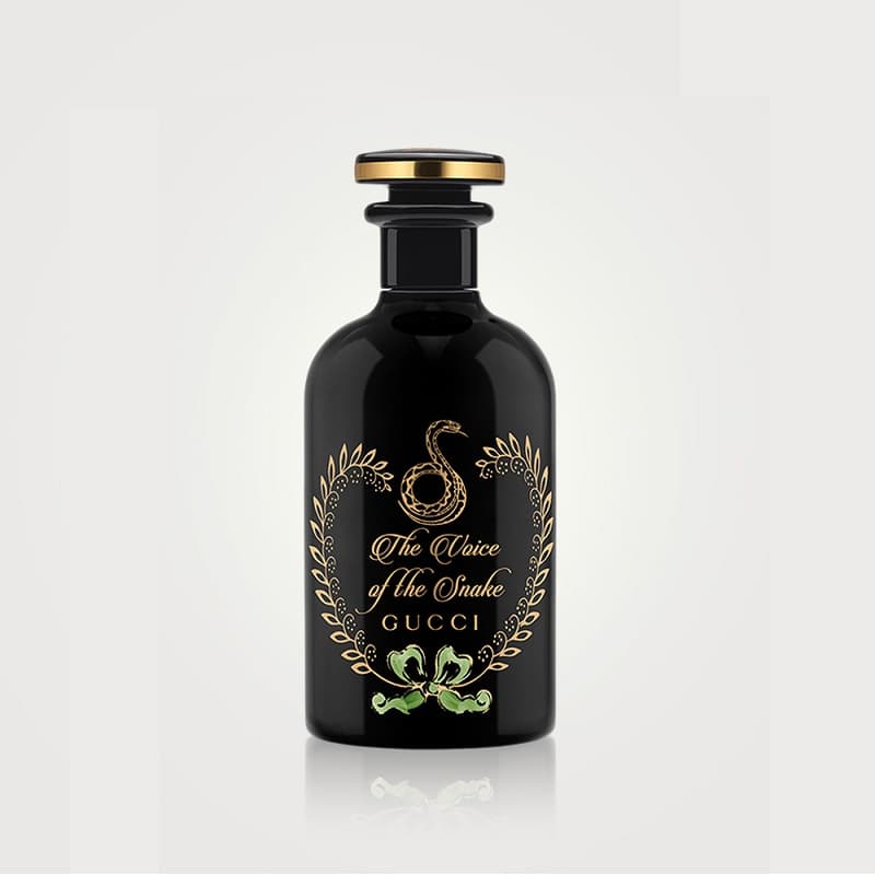 قوتشي ذا فويكي أوف ذا سناكي