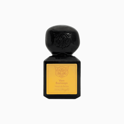 Lorenzo Pazzaglia Van Exstasyx