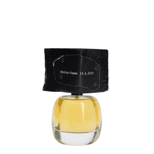 Filippo Sorcinelli Notre-Dame 15.4.