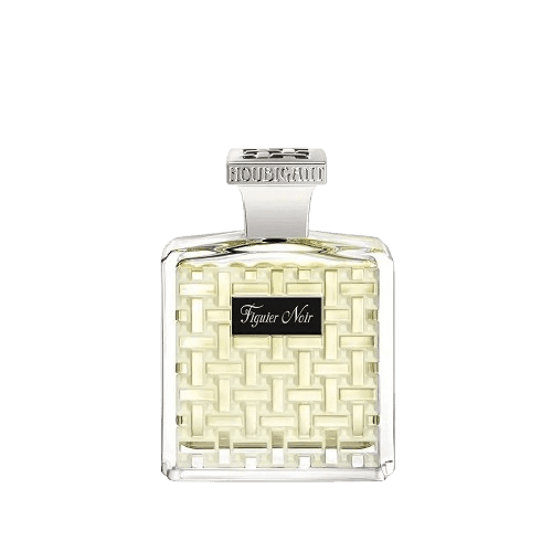 هوبيجانت فيجويير نوير