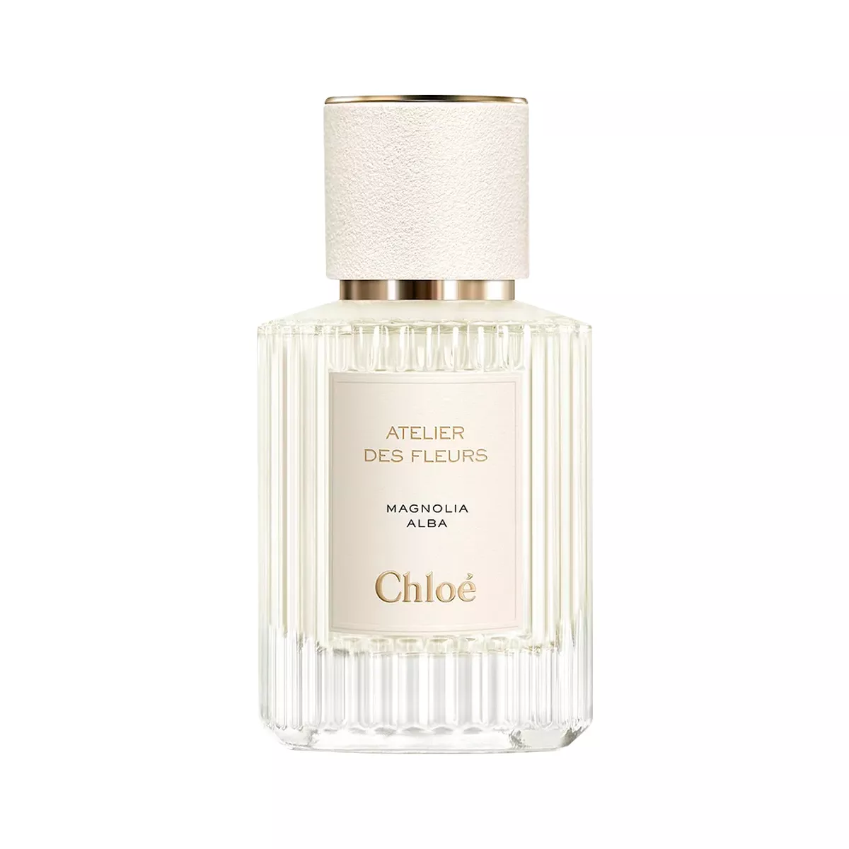 Chloe Atelier des Fleurs - Magnolia Alba