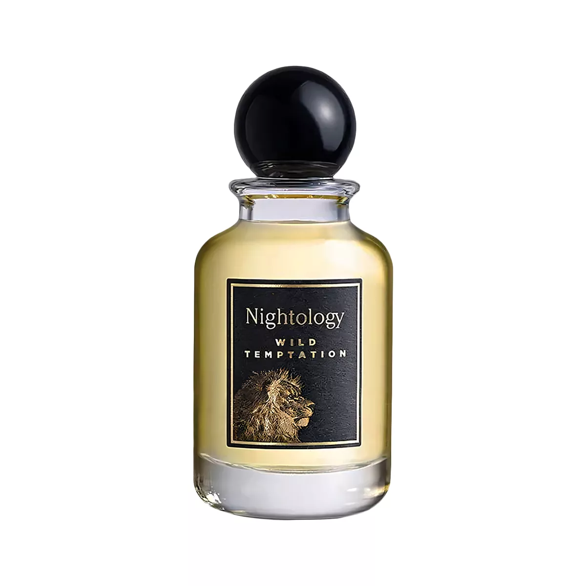 جيسوس ديل بوزو ويلد تيمبتاشن