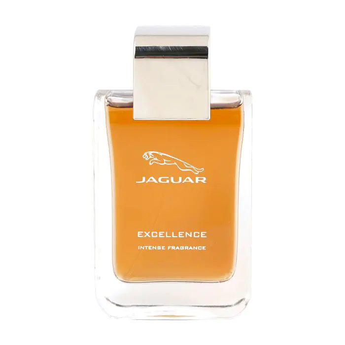 جاجوار إكسكيللينكي إنتنس